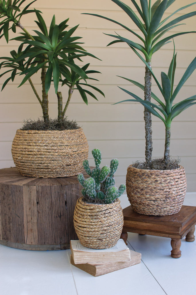 Set of 3 Woven Rush Baskets with Wooden Frame - Bombay Mercantile