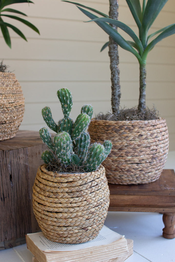 Set of 3 Woven Rush Baskets with Wooden Frame - Bombay Mercantile