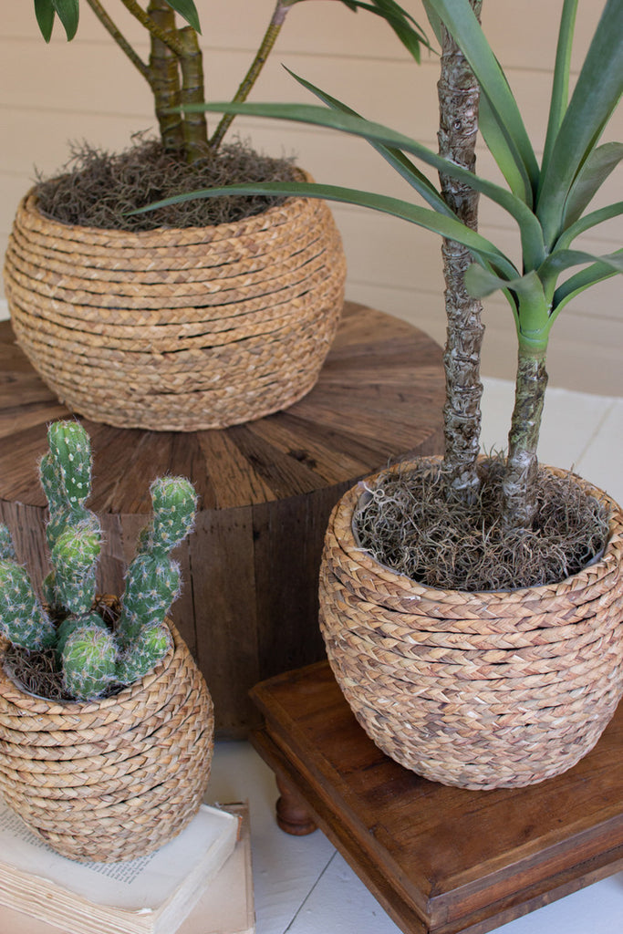 Set of 3 Woven Rush Baskets with Wooden Frame - Bombay Mercantile