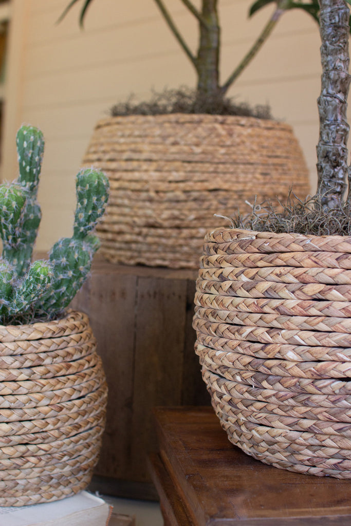 Set of 3 Woven Rush Baskets with Wooden Frame - Bombay Mercantile