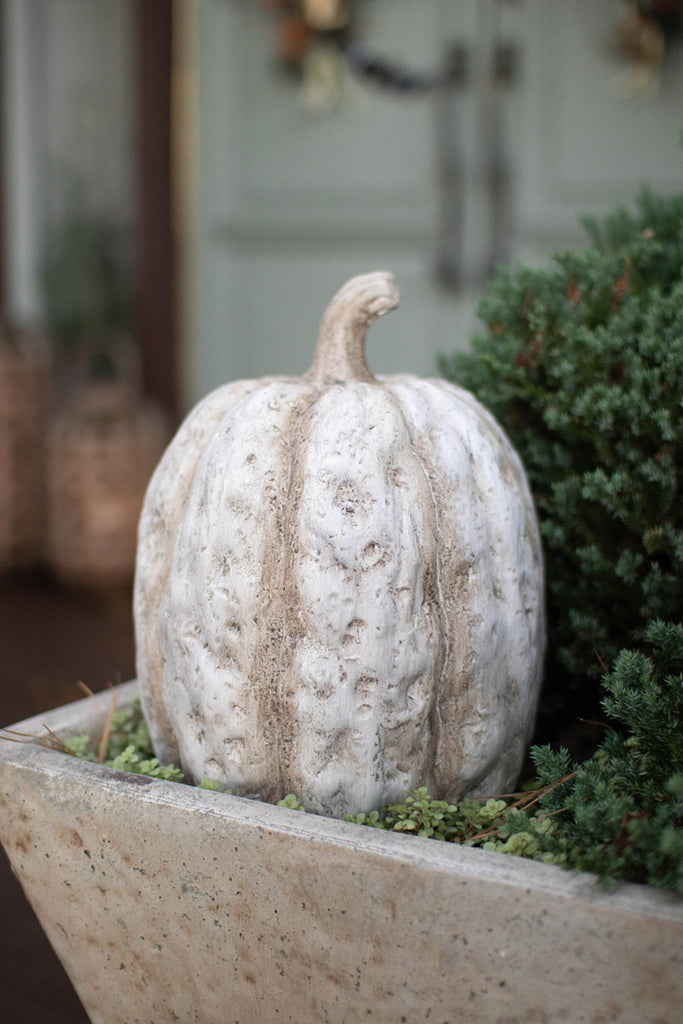 Tall Faux Concrete Pumpkins - Bombay Mercantile
