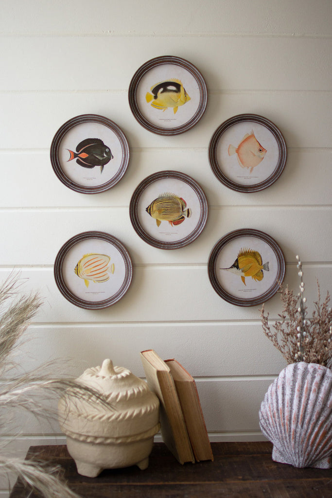 Set of 6 Round Framed Tropical Fish Prints Under Glass - Bombay Mercantile