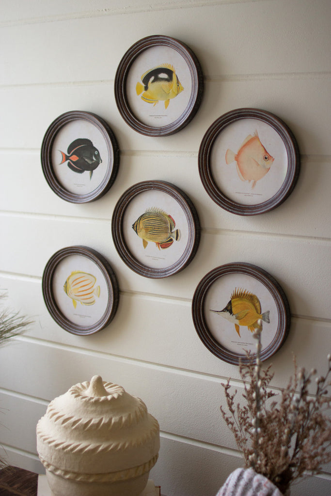 Set of 6 Round Framed Tropical Fish Prints Under Glass - Bombay Mercantile
