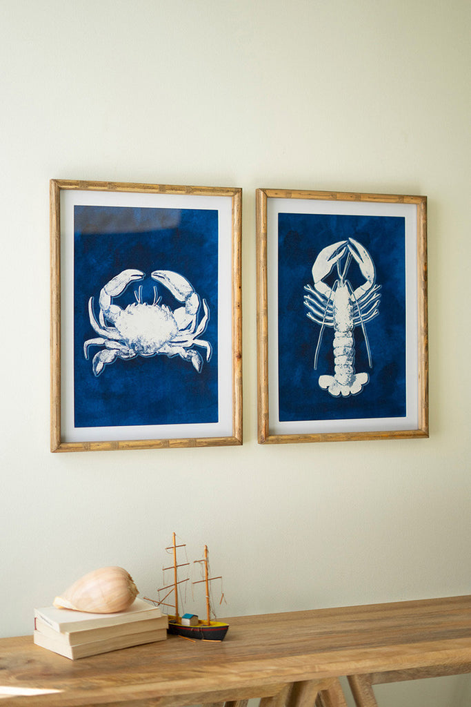 Set of 2 Crustation Prints Under Glass - Bombay Mercantile