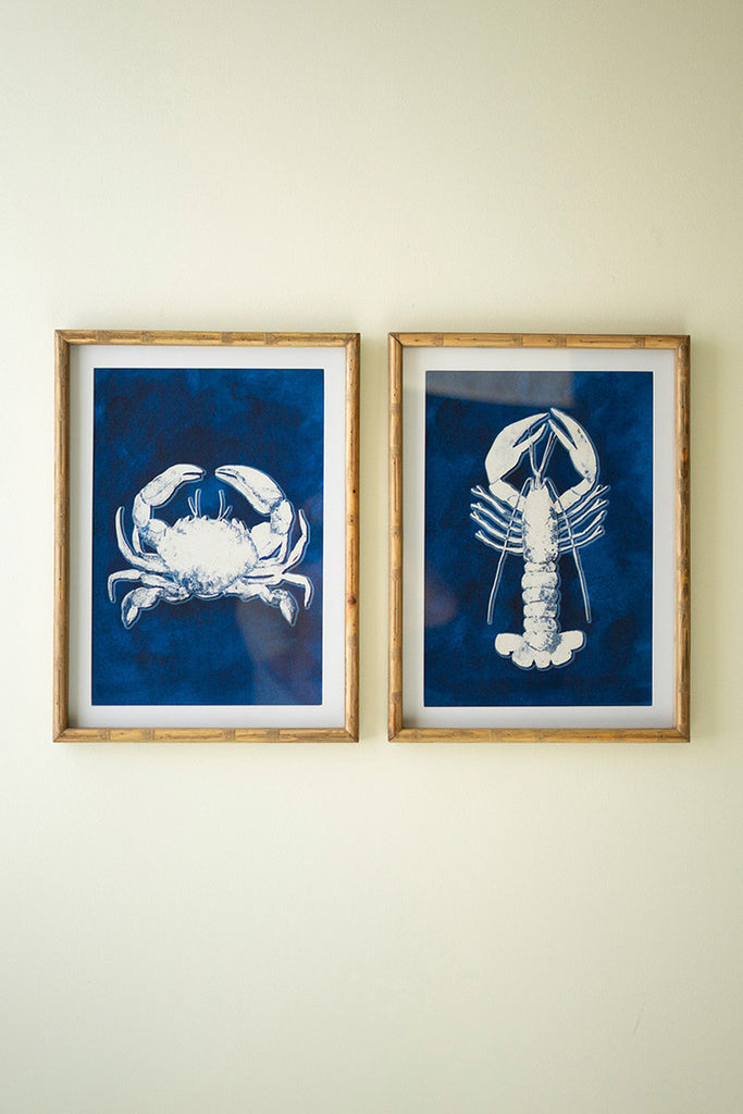 Set of 2 Crustation Prints Under Glass - Bombay Mercantile