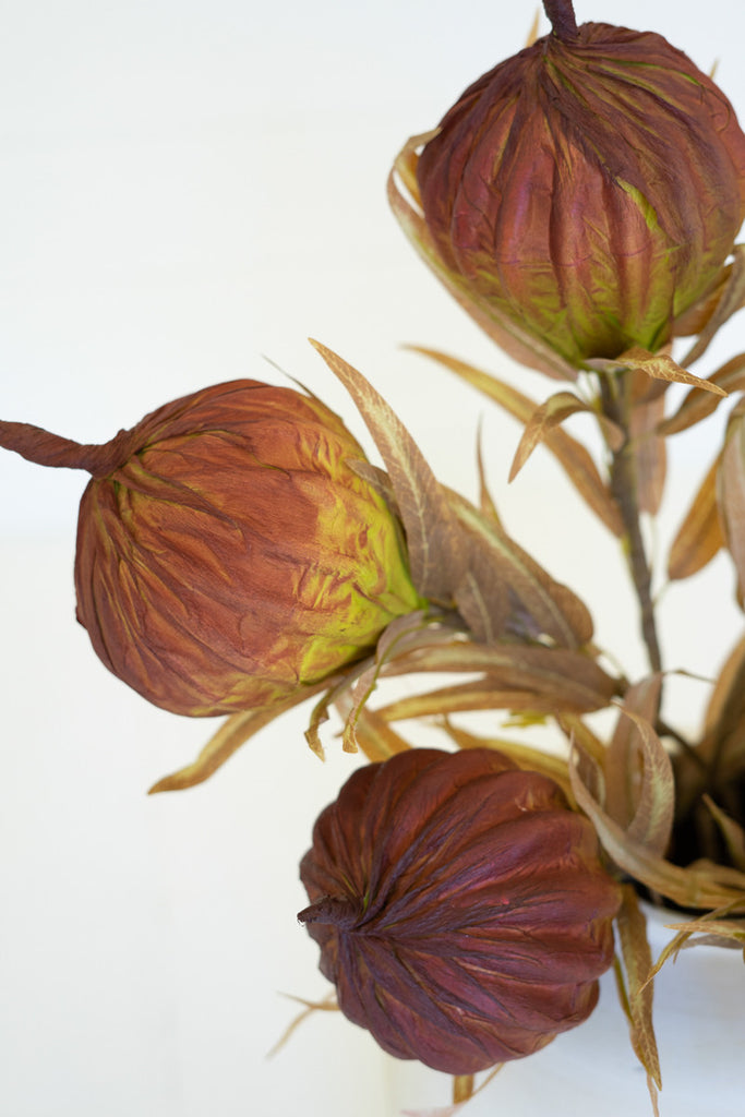 Botanica #3455, Set of 6 - Bombay Mercantile
