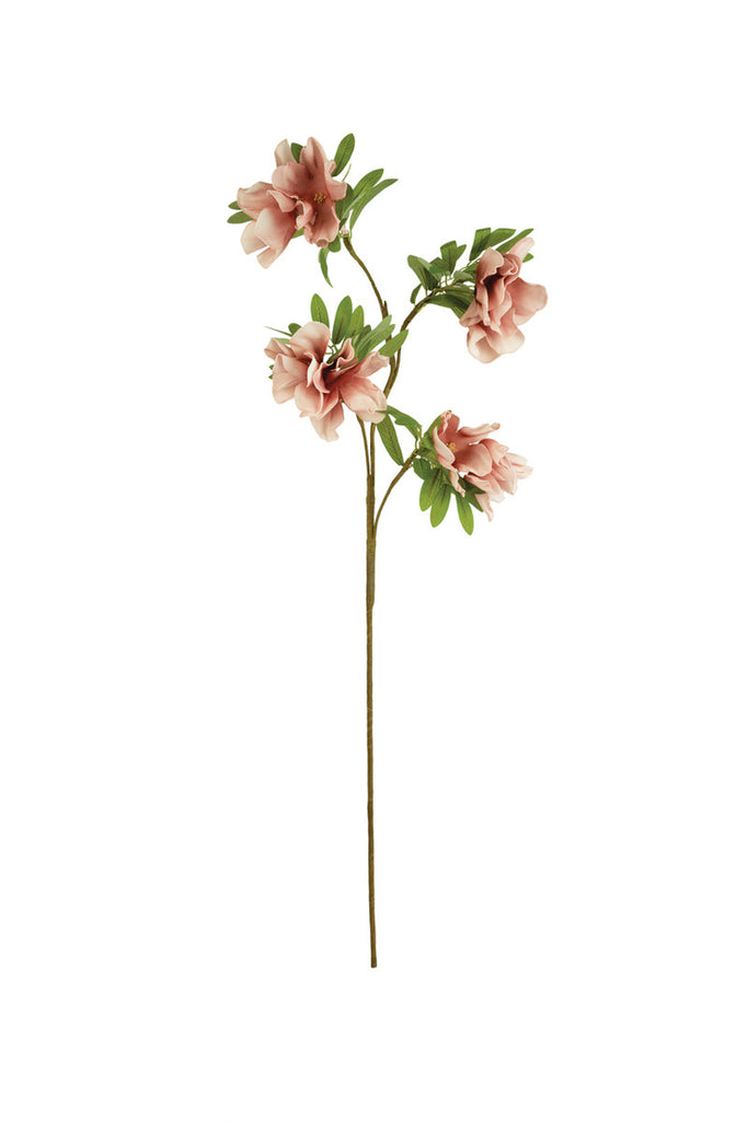 Botanica #3456, Set of 6 - Bombay Mercantile