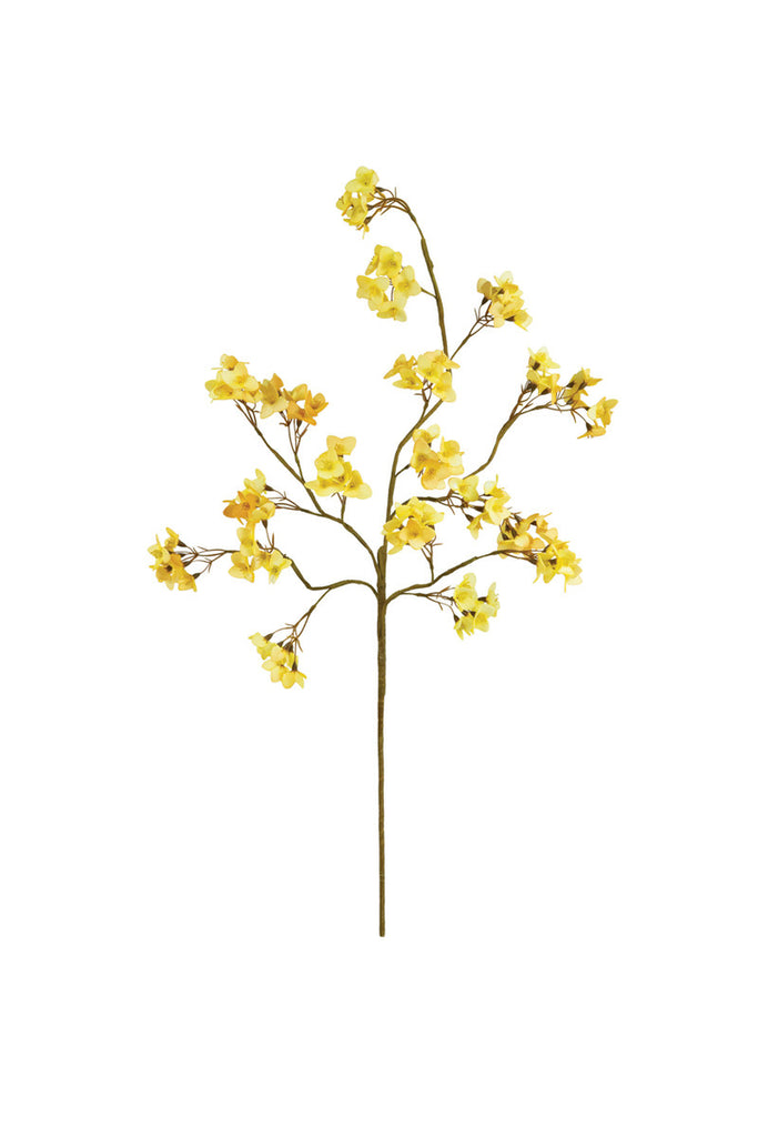 Botanica #3465, Set of 6 - Bombay Mercantile