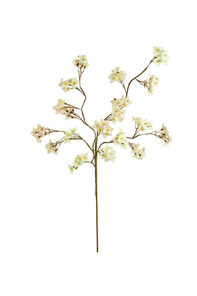 Botanica #3466, Set of 6 - Bombay Mercantile