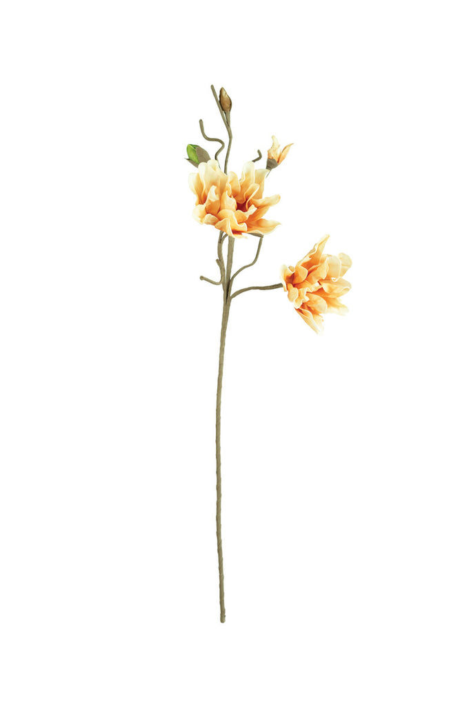 Botanica #3471, Set of 6 - Bombay Mercantile