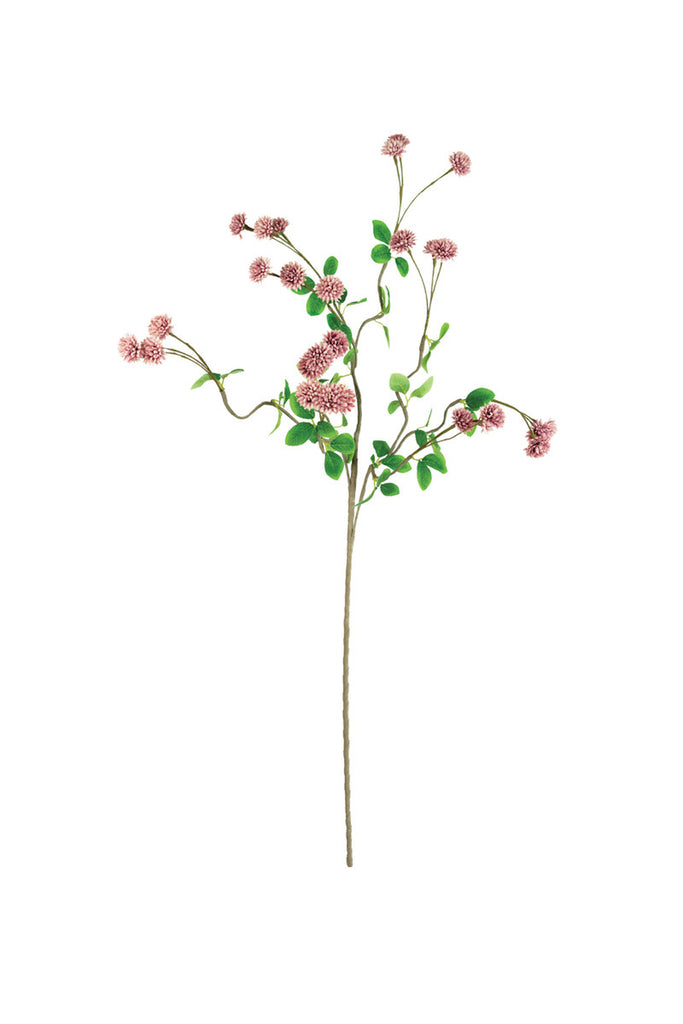 Botanica #3473, Set of 6 - Bombay Mercantile
