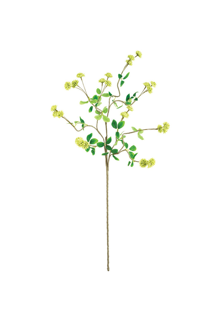 Botanica #3474, Set of 6 - Bombay Mercantile