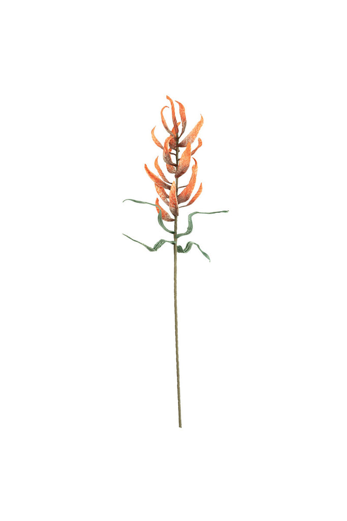 Botanica #3477, Set of 6 - Bombay Mercantile