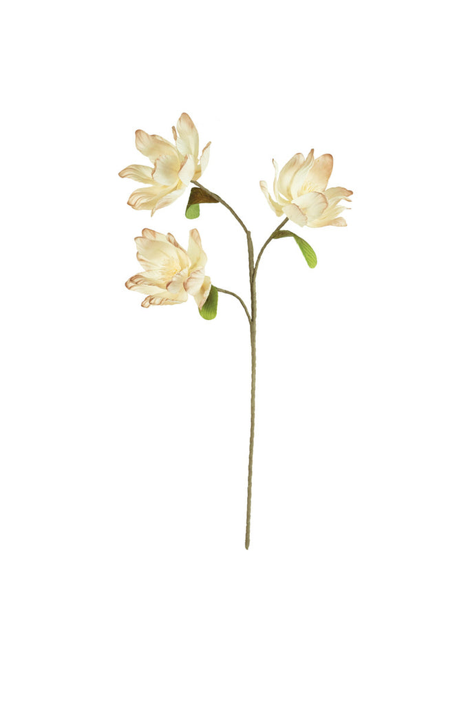 Botanica #3483, Set of 6 - Bombay Mercantile