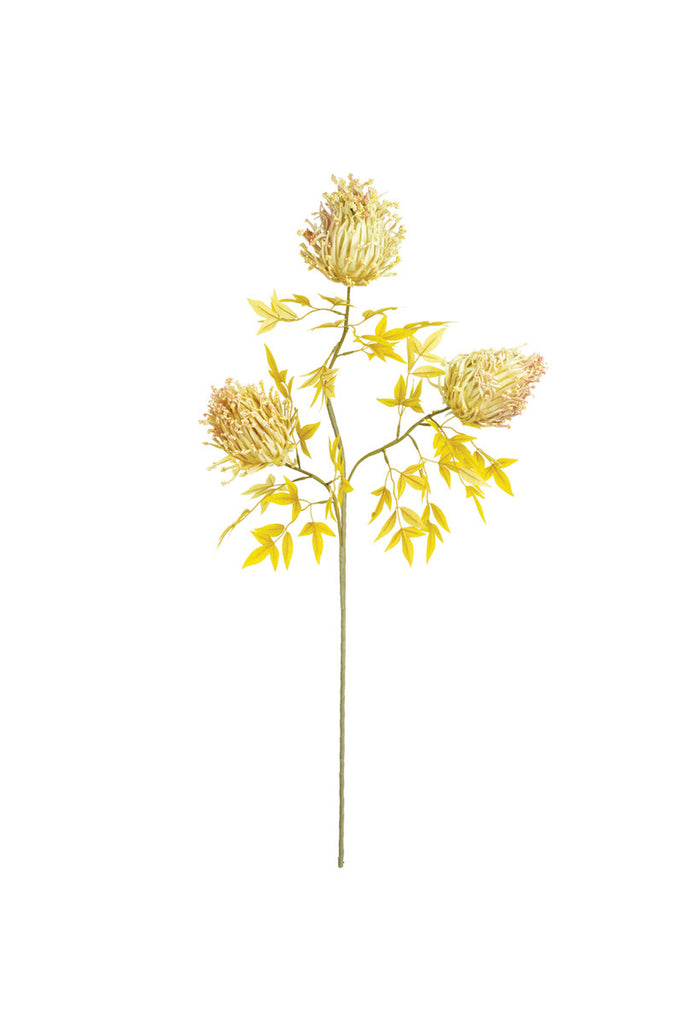 Botanica #3486, Set of 6 - Bombay Mercantile