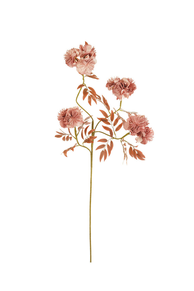 Botanica #3487, Set of 6 - Bombay Mercantile
