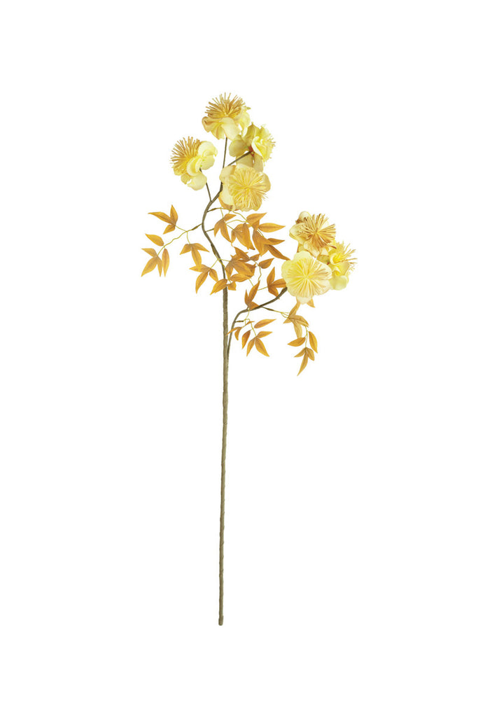 Botanica #3488, Set of 6 - Bombay Mercantile