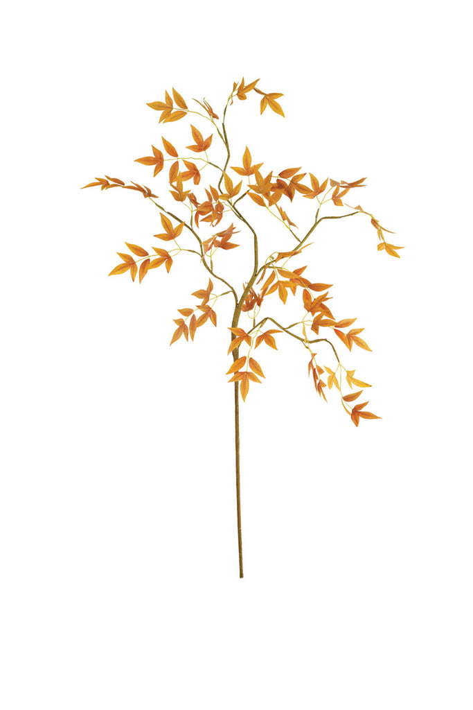 Botanica #3489, Set of 6 - Bombay Mercantile