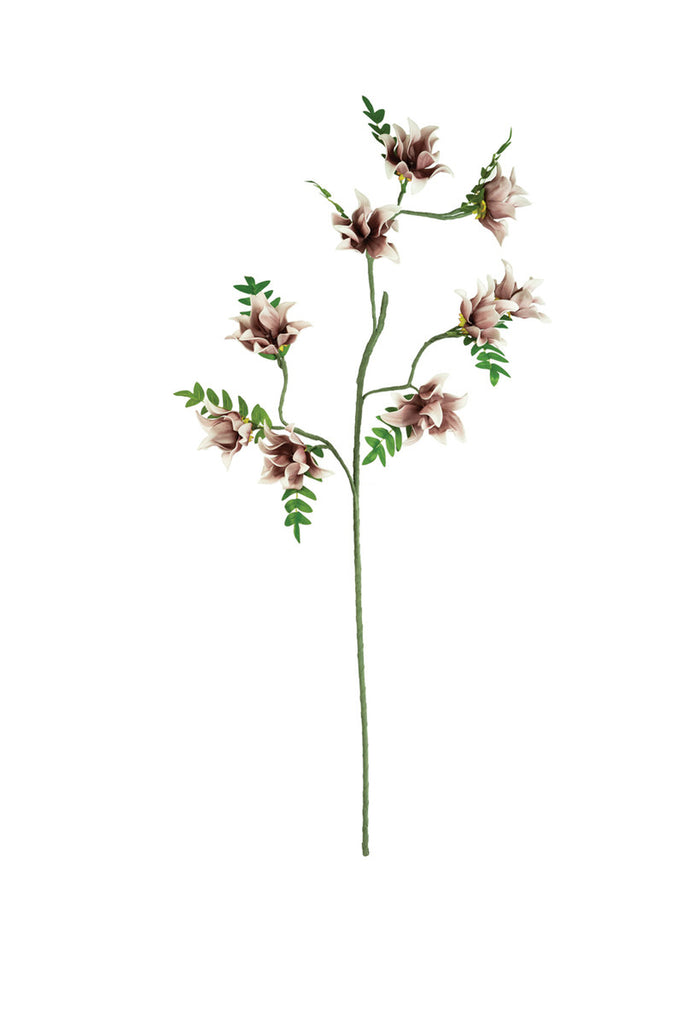 Botanica #3490, Set of 6 - Bombay Mercantile