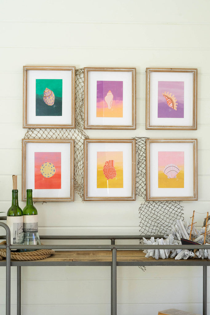 Set of 6 Framed Sea Shells Under Glass - Bombay Mercantile