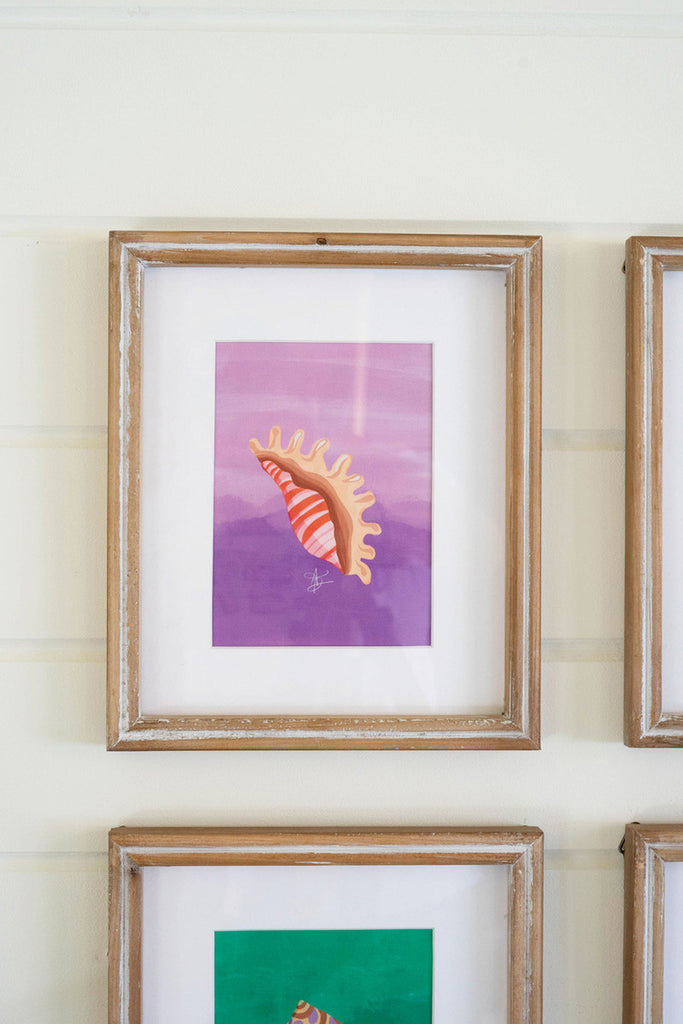 Set of 6 Framed Sea Shells Under Glass - Bombay Mercantile