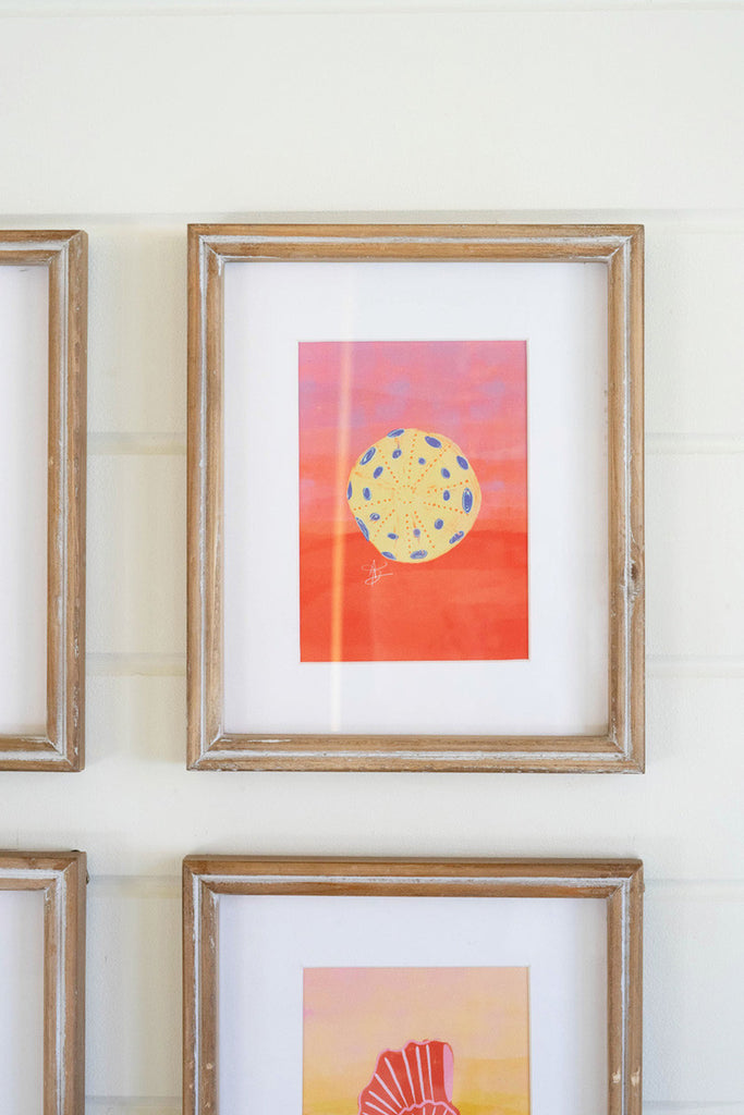 Set of 6 Framed Sea Shells Under Glass - Bombay Mercantile