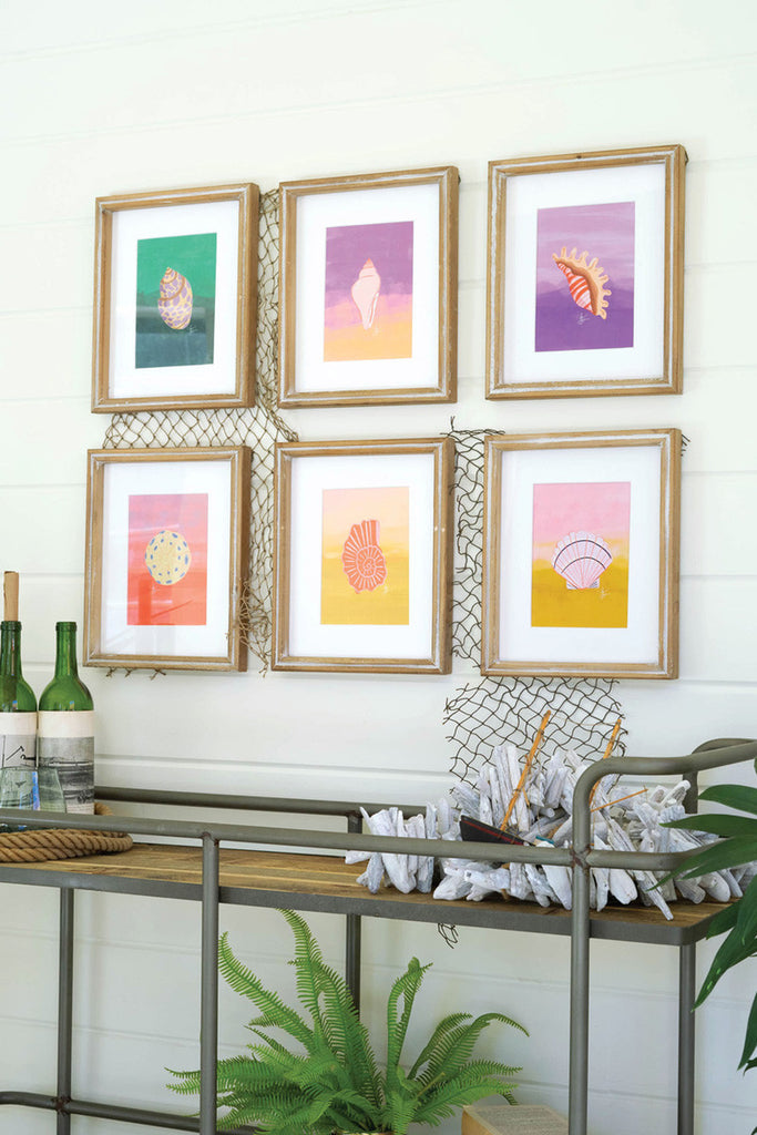 Set of 6 Framed Sea Shells Under Glass - Bombay Mercantile