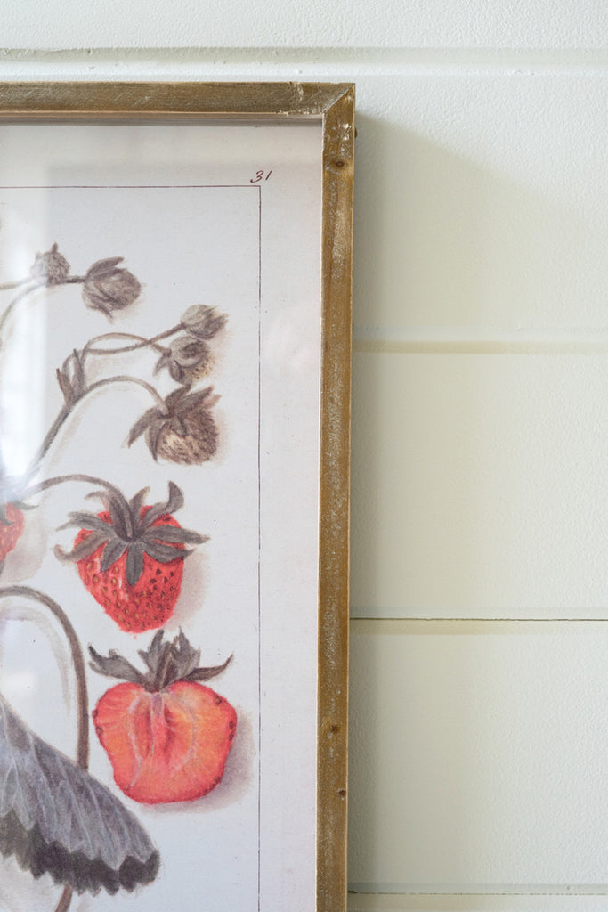 Set of 2 Framed Strawberry Prints Under Glass - Bombay Mercantile