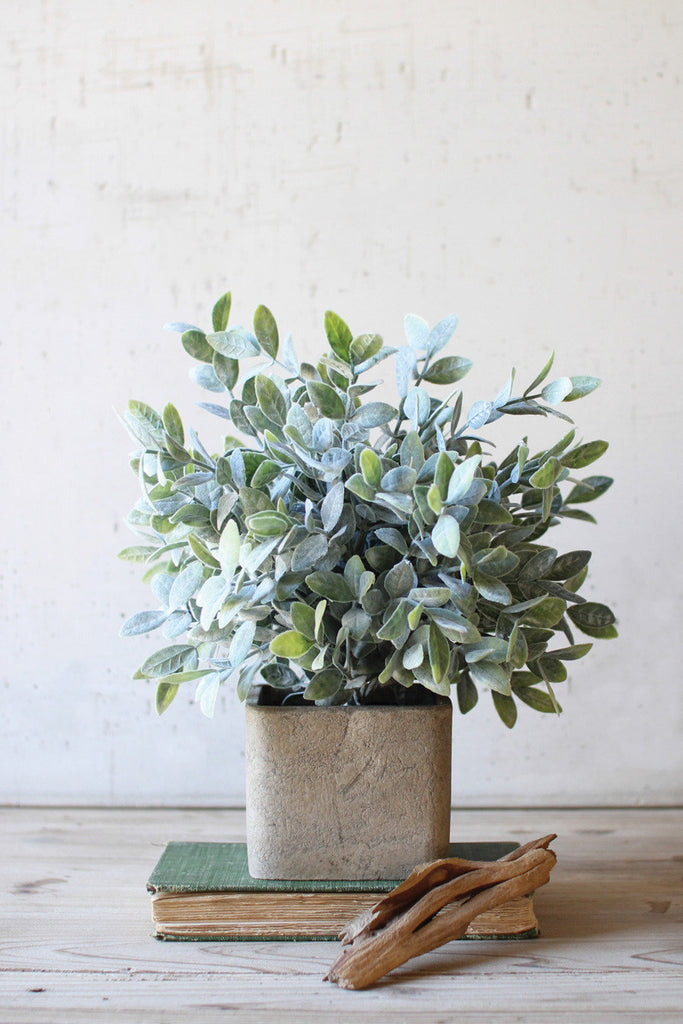 Artificial Sage Bush In a Square Pot, Set of 4 - Bombay Mercantile