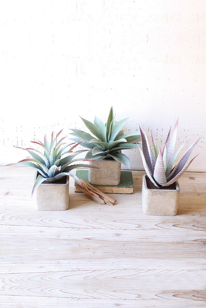 Set of 3 Large Artificial Succulents In Square Pots - Bombay Mercantile