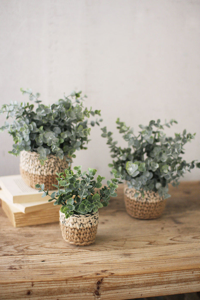 Set of 3 Artificial Eucalyptus Plants In Woven Pots - Bombay Mercantile