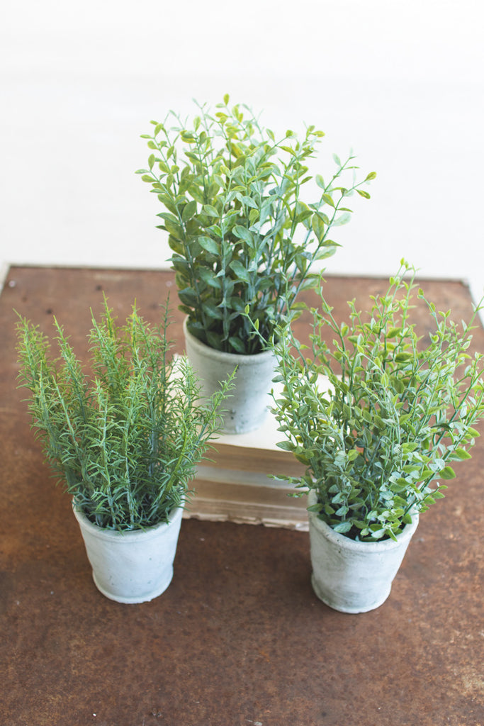 Set of 3 Artificial Herbs In Cement Pots - Bombay Mercantile