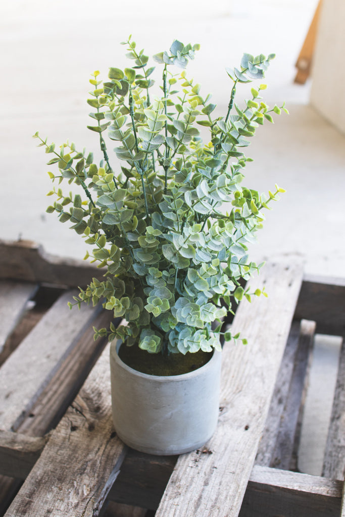 Artificial Boxwood In a Cement Pot, Set of 4 - Bombay Mercantile