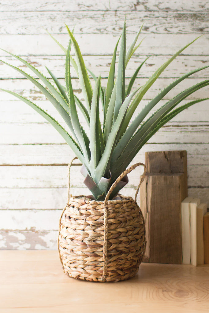 Artificial Aloe In a Woven Seagrass Pot - Bombay Mercantile