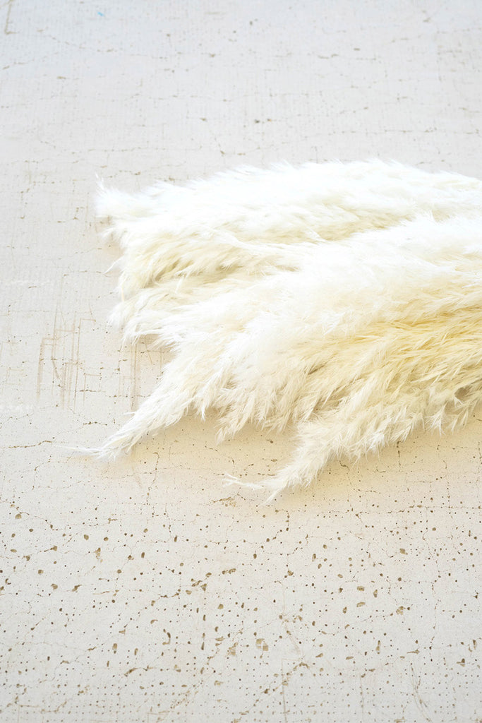 Bundle of 12 White Pampas Grass - Bombay Mercantile