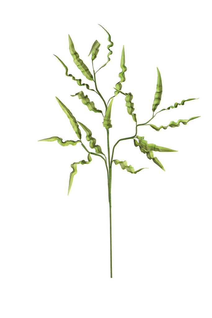 Botanica #2682, Set of 6 - Bombay Mercantile