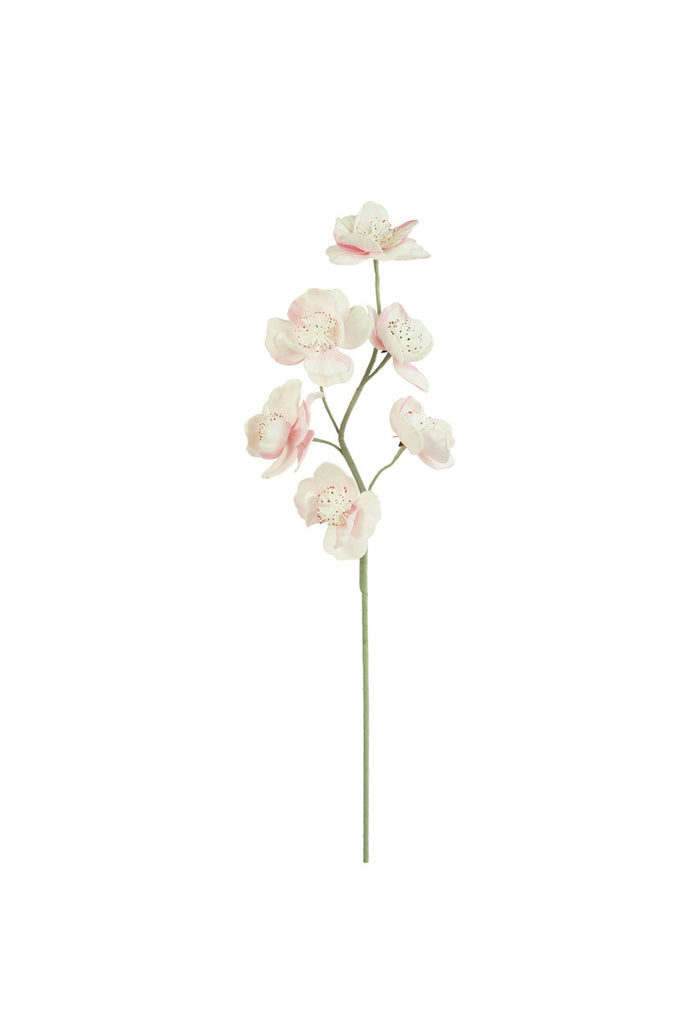 Botanica #2684, Set of 6 - Bombay Mercantile