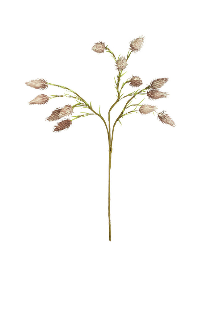 Botanica #2687, Set of 6 - Bombay Mercantile