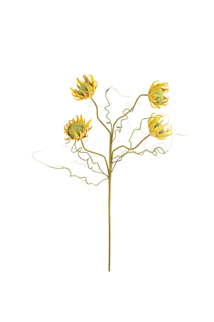 Botanica #2688, Set of 6 - Bombay Mercantile
