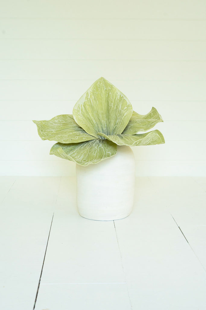 Botanica #2692, Set of 6 - Bombay Mercantile