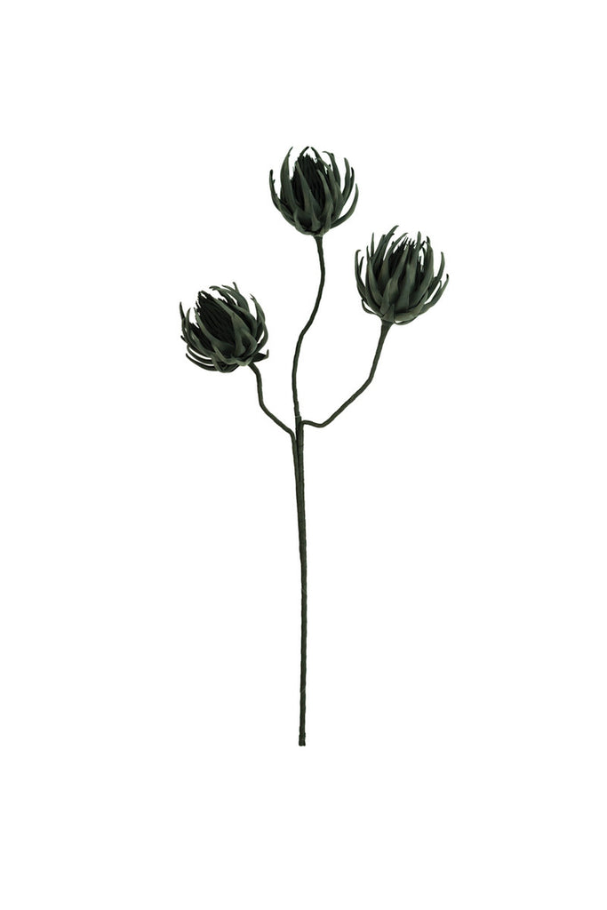 Botanica #2697, Set of 6 - Bombay Mercantile