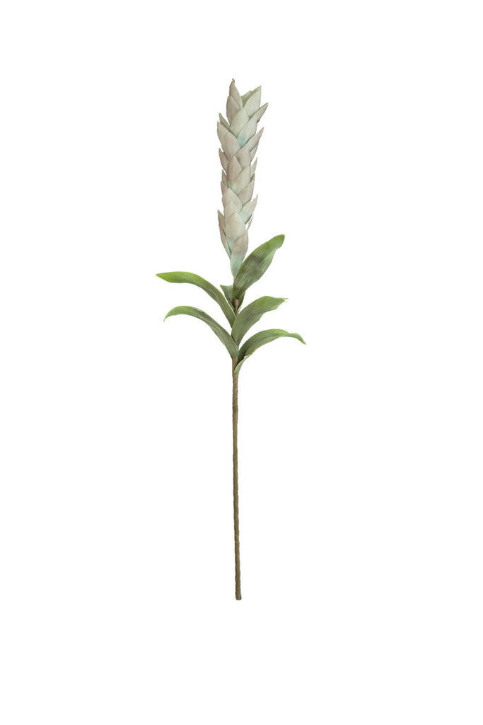 Botanica #2711, Set of 6 - Bombay Mercantile