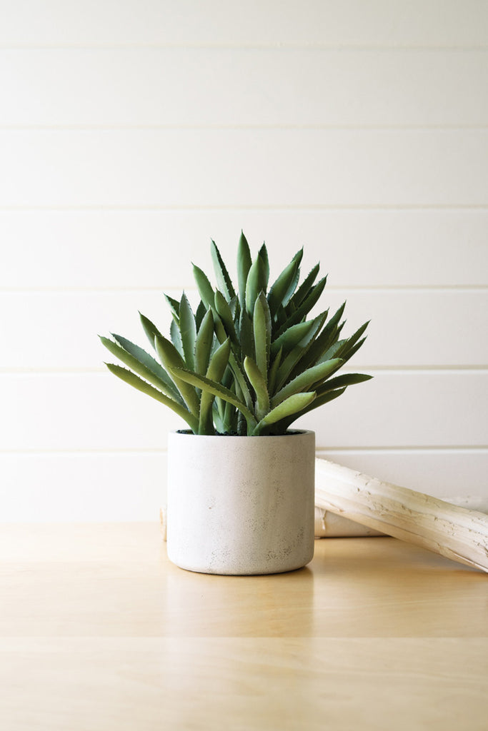 Artificial Aloe Succulent In a Cement Pot - Bombay Mercantile