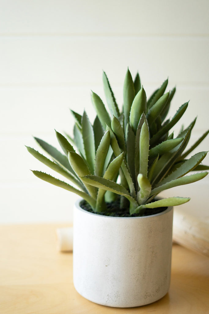 Artificial Aloe Succulent In a Cement Pot - Bombay Mercantile