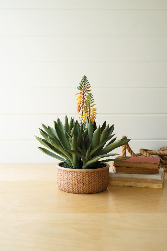 Artificial Blooming Aloe Succulent In a Cement Pot - Bombay Mercantile