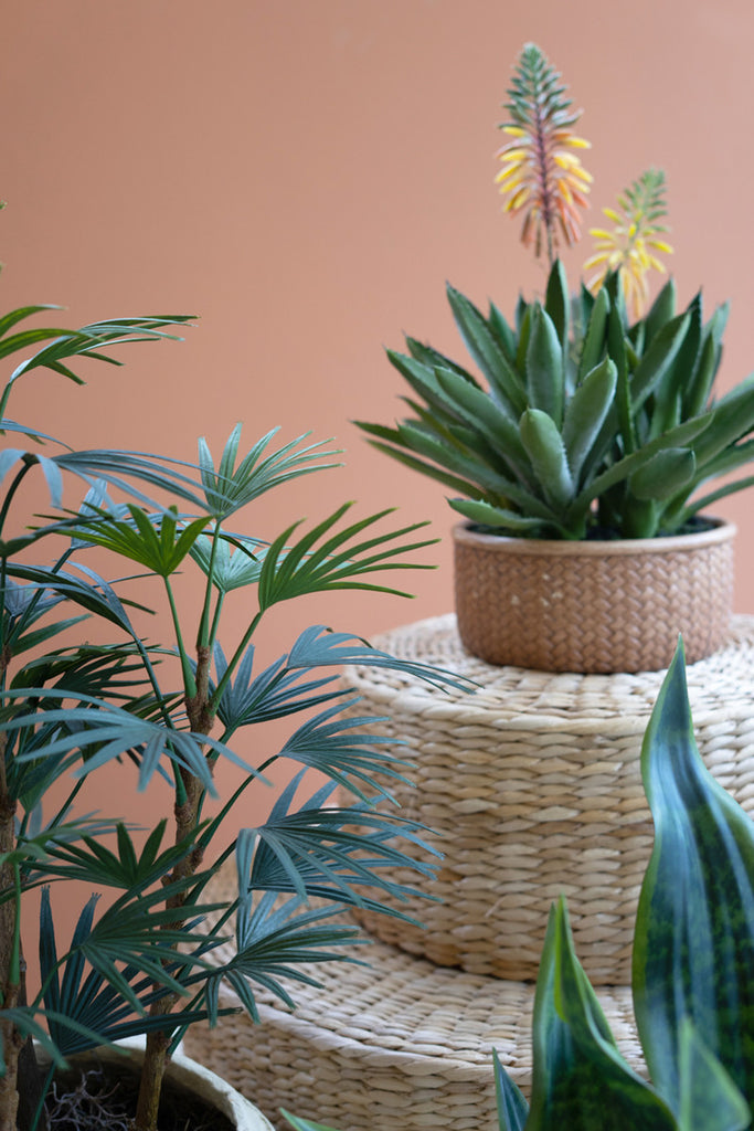 Artificial Blooming Aloe Succulent In a Cement Pot - Bombay Mercantile
