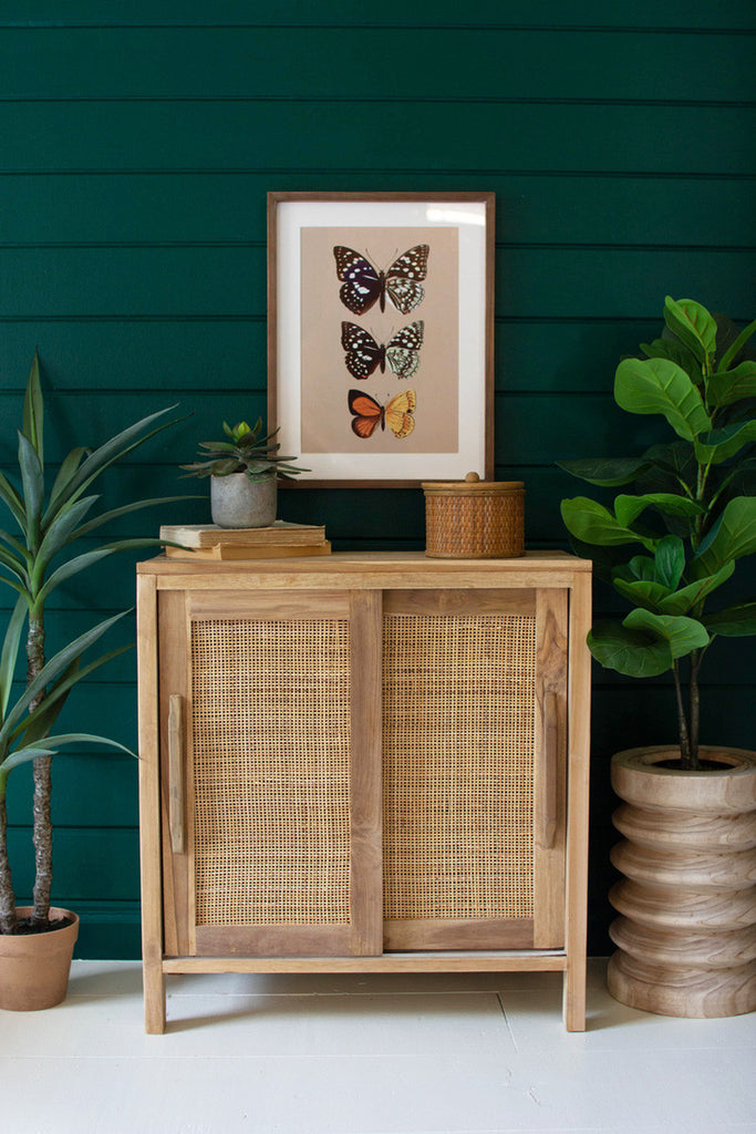 Wooden Cabinet with Woven Cane Detail - Bombay Mercantile