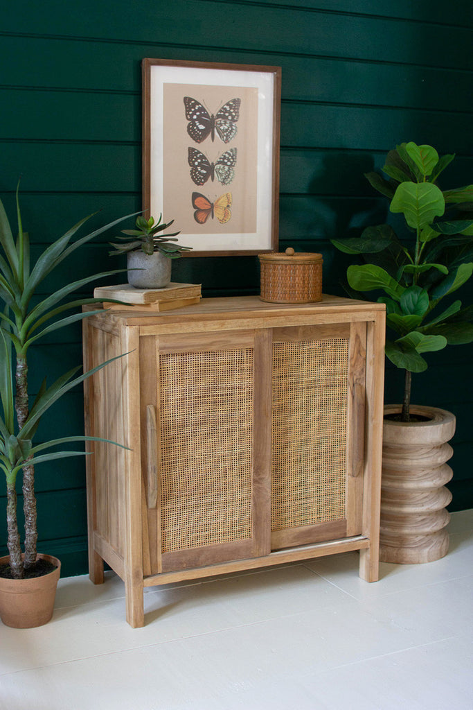 Wooden Cabinet with Woven Cane Detail - Bombay Mercantile