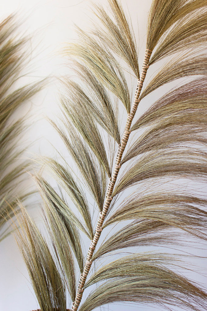 Decorative Palm Fans with Bamboo Stems, Set of 6 - Bombay Mercantile