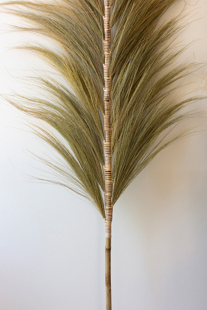 Decorative Palm Fans with Bamboo Stems, Set of 6 - Bombay Mercantile